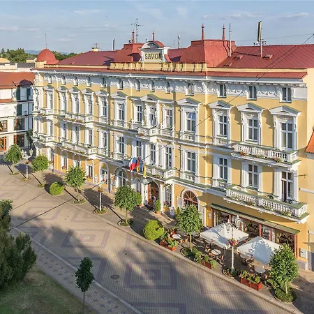 Savoy & Франтишкови-Лазне