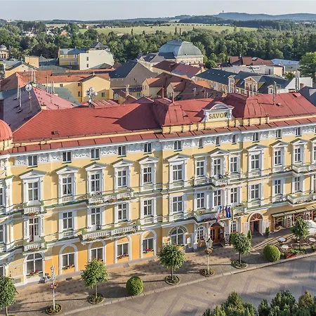 Savoy & Hotel 4*