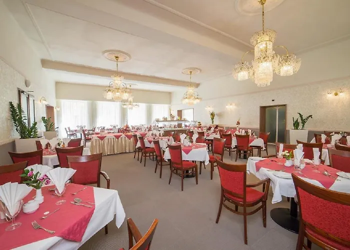 Savoy Spa&kurhotel 4* Františkovy Lázně