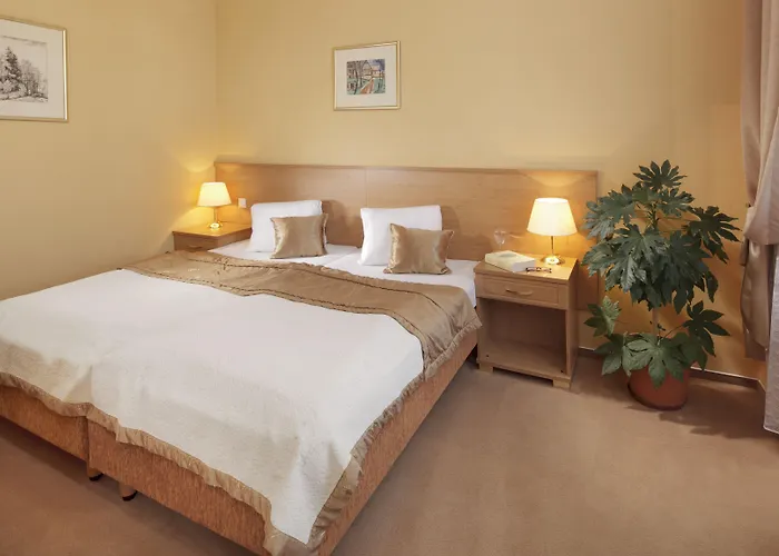 Hotel Savoy &